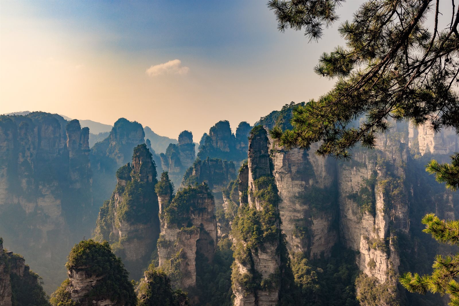 Shanghai skyline