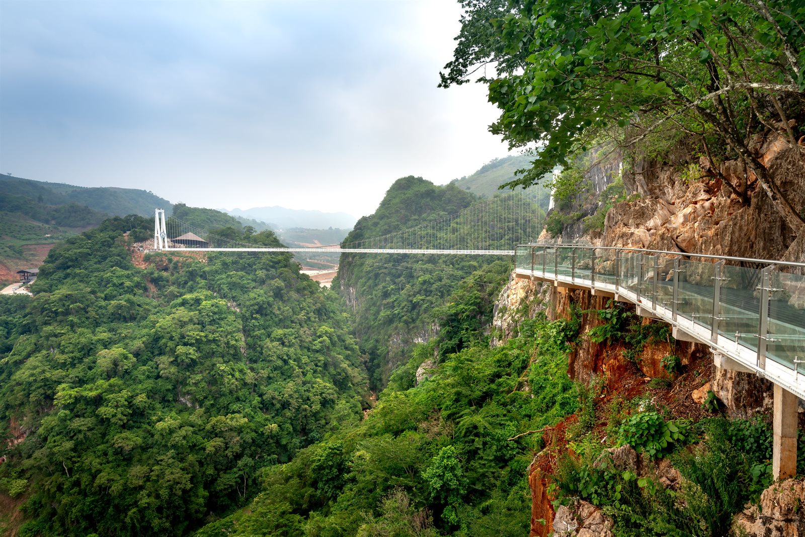 Glass bridge over canyon